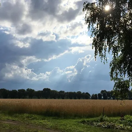 Ferienhof Timmerloher Heide Soltau Exterior photo