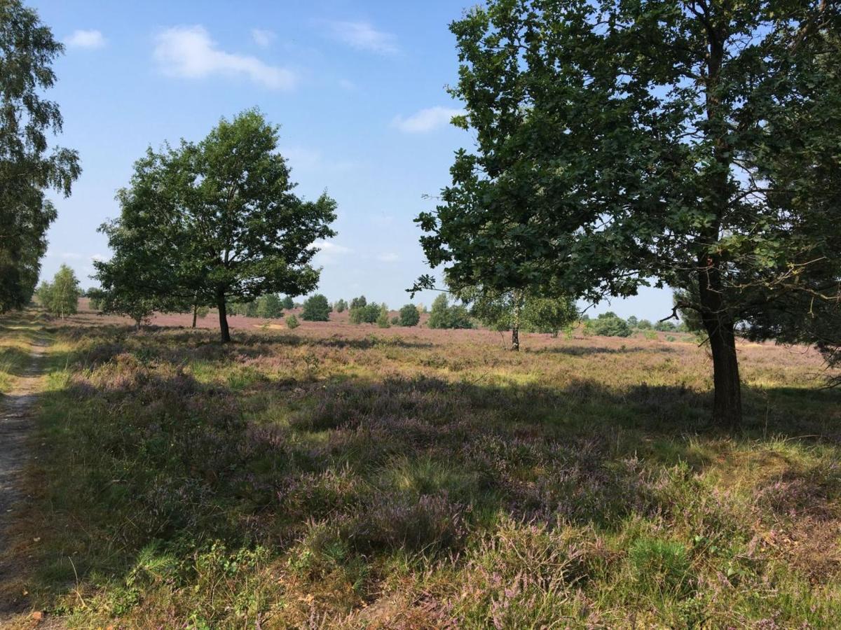 Timmerloher Heide *
