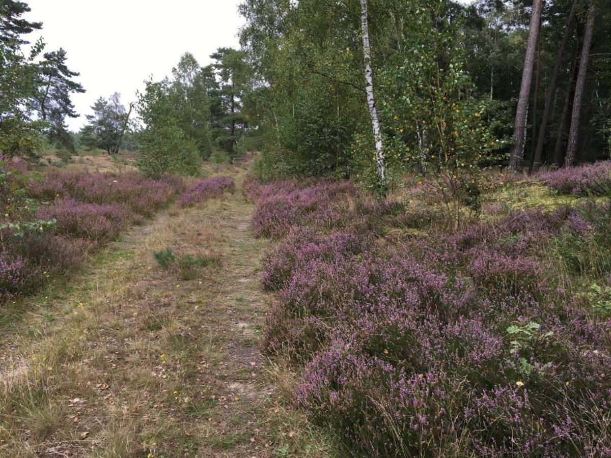 Timmerloher Heide *