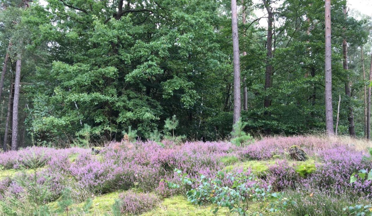 Apartment Timmerloher Heide Soltau